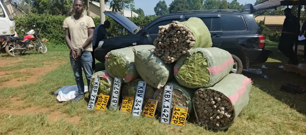 32-year-old Edwin Okondo Nyagaga arrested ferrying bhang