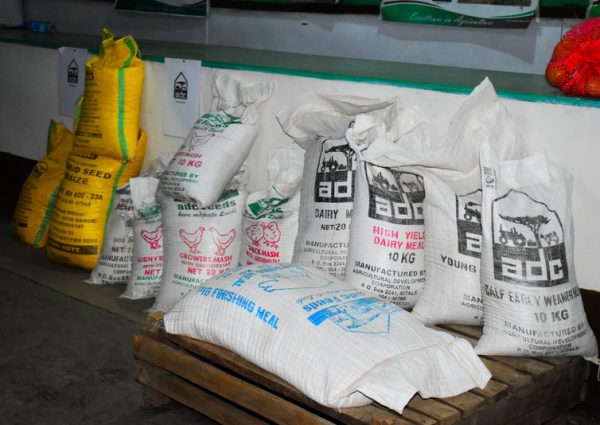 animal feeds